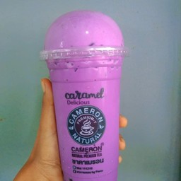 นมเผือก