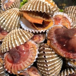 กะเพราพริกแห้งครัวสิริ วัชรพล