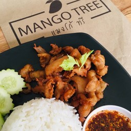 ข้าวไก่ทอด
