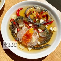 ปูไข่ดอง กม.5