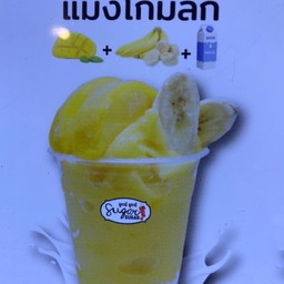 แมงโก้ มิลกี้ ( Mango milky )