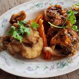 กะพงสองใจ