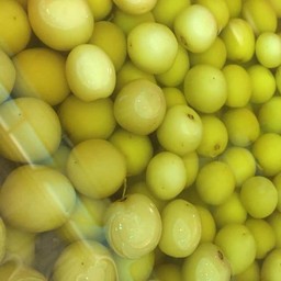 พุทราดอง