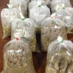 อาหารสุนัขสำเร็จรูป ไก่+เครื่องใน