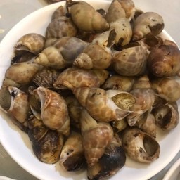 หอยหวานเผา 1 กิโล