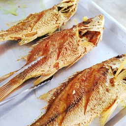 Fried Red Snapper With Turmeric L
