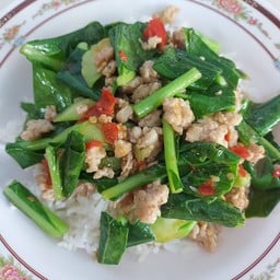 ผัดคะน้าหมูสับ ราดข้าว