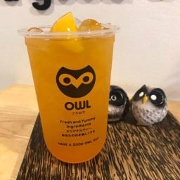 OWL CHA สุทธิสารวินิจฉัย