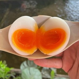 ไข่ยางมะตูม