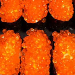 ชูชิไข่มังกร