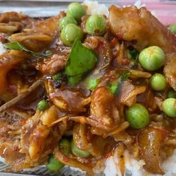 ผัดเผ็ดหมูป่าราดข้าว