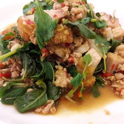 ผัดโหรพา