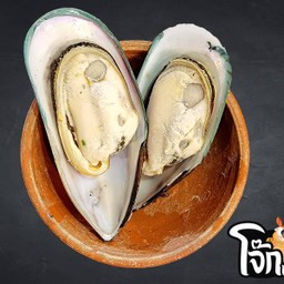 หอยนิวส์