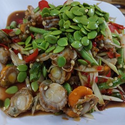 ตำหอยเชลล์