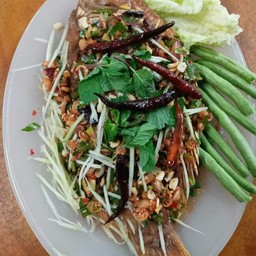 ปลาทับทิมลุยสวน