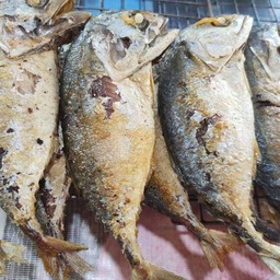 ปลาทูทอด