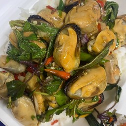 กะเพราหอยแมลงภู่ราดข้าว