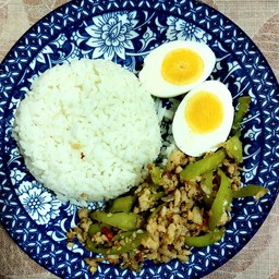 NT Food