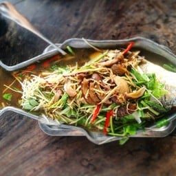 กะพงนึ่งซีอิ๊ว