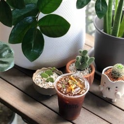 เย็น - เอสเพรสโซ่ยูซุ (EYZ)