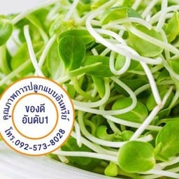 อร่อยแบบไทยๆสไตล์สตรีทฟู๊ด