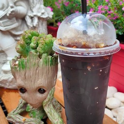 ชาช้างบางศาลา