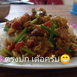 อาหารตามสั่ง ครัวคุณแม่ อิ่มจุกๆสันป่าข่อย