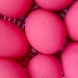 ไข่เยี่ยวม้า