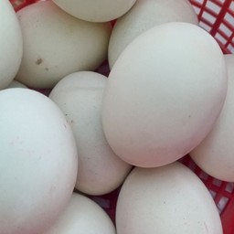 ไข่เค็ม