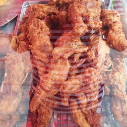 โครงไก่