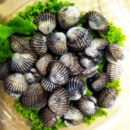 หอยหวาน หอยแครงลวก