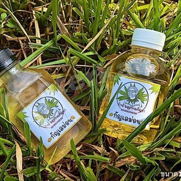 บ้านอสุรกายกัญยา