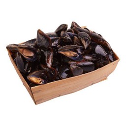 Fresh Spanish Mussels 500Gr