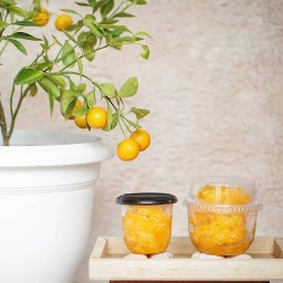 Orange-ZooZ  กลีบส้มแกะเมล็ด Freeze ด้วยอุณภูมิต่ำ นำมาปั่น  ส้มแท้ๆ 100%