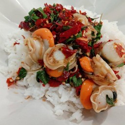 หอยเชลล์