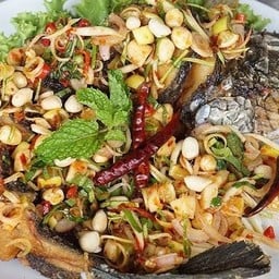 ปลาช่อนลุยสวน