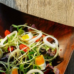 สลัดผัก