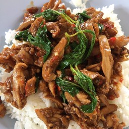 กระเพราเป็ด ก๋วยเตี๋ยวเป็ด สะพานวัดศรีเมือง