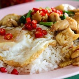 ข้าวกะเพราไก่ชิ้น