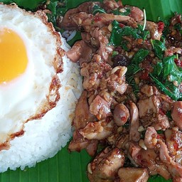 ข้าวกะเพราเครื่องในไก่