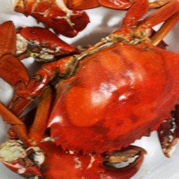 ปูเนื้อนึ่ง