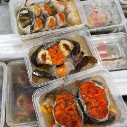 มะมายด์ปูดอง