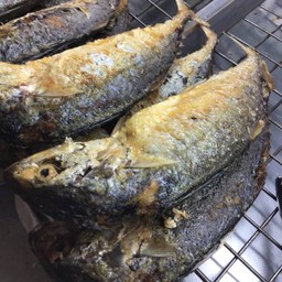 ปลาทูทอด