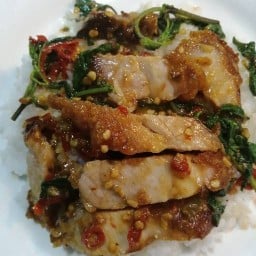 ต้นหูกวาง (สวนรถไฟ)