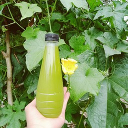 เครปนีด้า ดาน่า