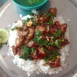 ผัดกระเพราหมูกรอบราดข้าว