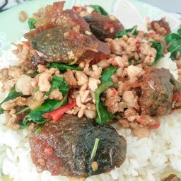 กะเพราไข่เยี่ยวม้า