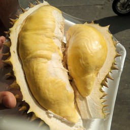 ขวัญใจวัยรุ่น น้ำอ้อยคั้นสด ตลาดนัดอมรพันธ์