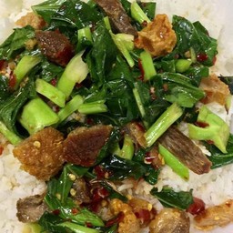 ผัดคะน้า