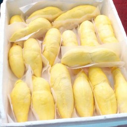 เจ๊นีแปดกุมาร